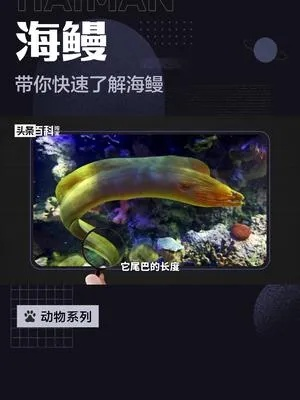 海鳗官方怎么下载或天使幻想单机版,精细化执行设计|10DM_v1.896